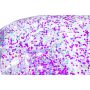 Napihljiv fotelj Glitter Dream™ | 114 x 112 x 66 cm