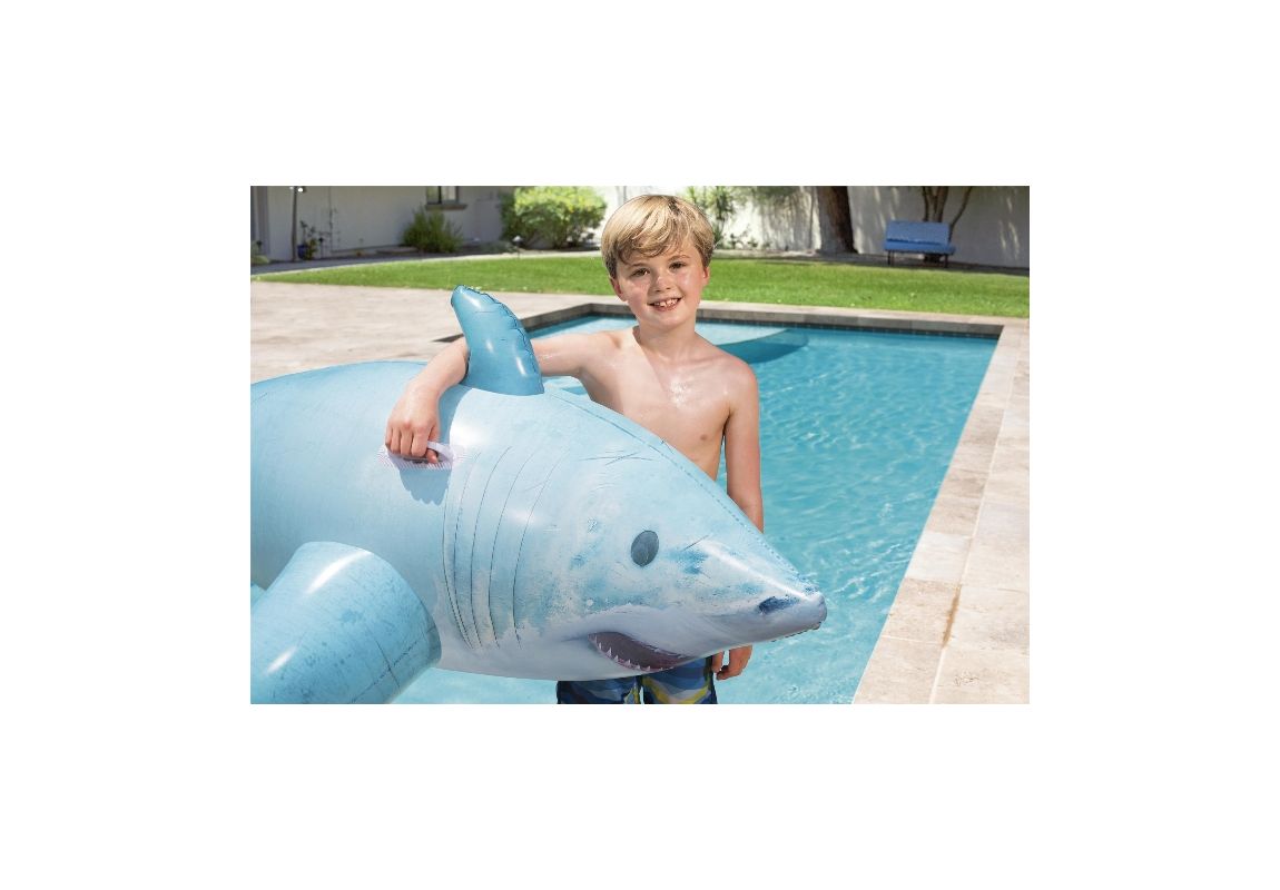 Napihljiv morski pes | 183 x 102 cm